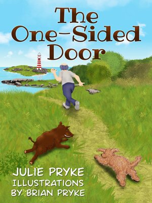 cover image of The One-Sided Door